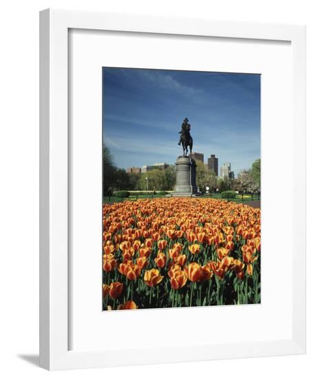 Framed Photographic Print, , large