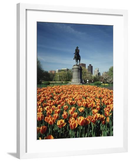 Framed Photographic Print, , large