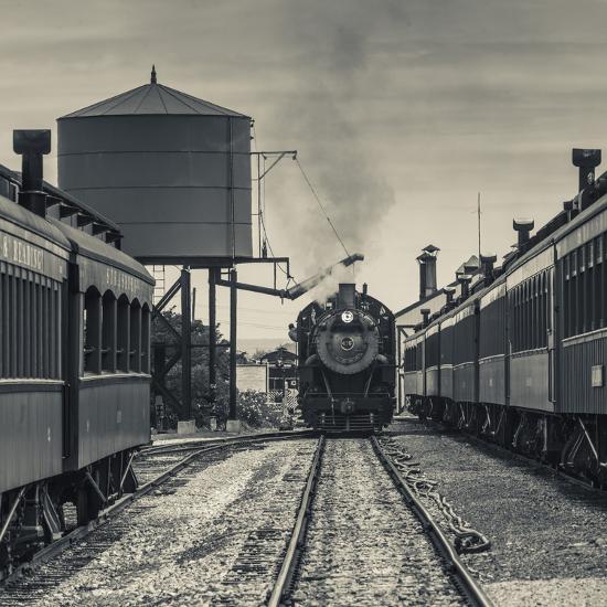 Premium Photographic Print, , large