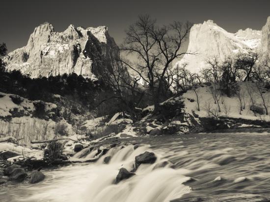 Premium Photographic Print, , large