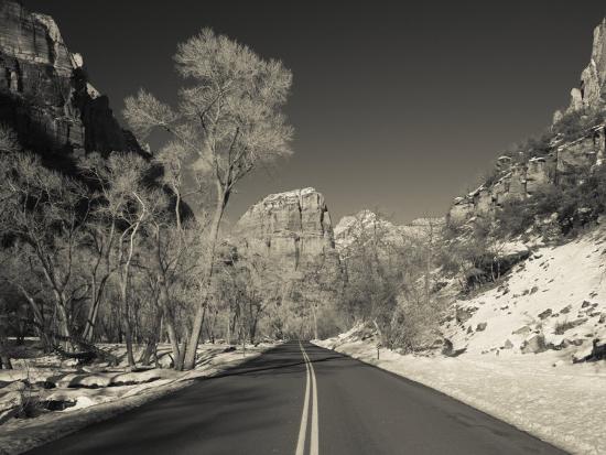 Photographic Print, , large