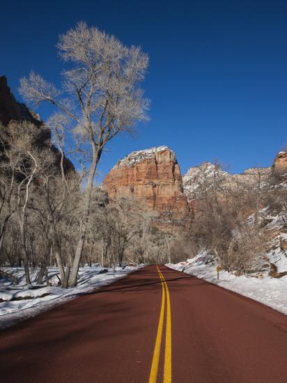 Premium Photographic Print, , large