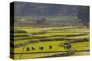 Stretched Canvas