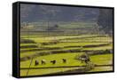 Canvas Black