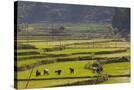 Stretched Canvas