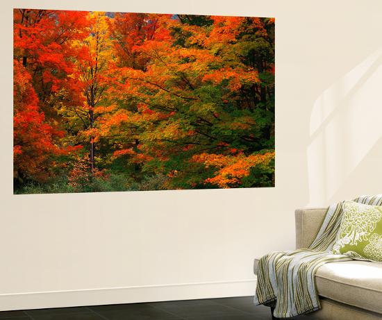 Giant Art Print, , large