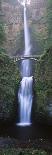 View of Multnomah Falls in Columbia Gorge, Oregon, USA-Walter Bibikow-Photographic Print