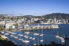 New Zealand, North Island, Wellington, elevated city skyline from Mt. Victoria, dawn-Walter Bibikw-Photographic Print