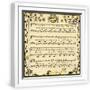 White Frame
