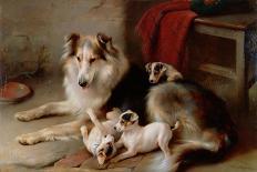 Motherless: the Shepherd's Pet, 1897-Walter Hunt-Giclee Print