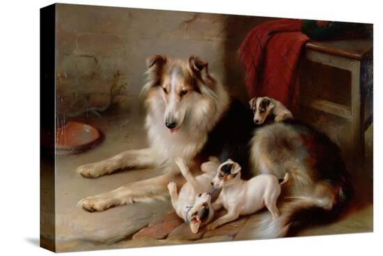 Stretched Canvas Print, , large