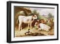 Black Frame