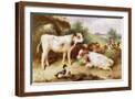 Brown Frame