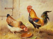 Farmyard Friends-Walter Hunt-Giclee Print