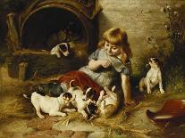 A Collie with Fox Terrier Puppies, 1913-Walter Hunt-Giclee Print