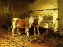 Two Calves in a Barn-Walter Hunt-Framed Giclee Print