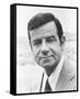 Walter Matthau-null-Framed Stretched Canvas