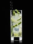 Vodka Lemon-Walter Pfisterer-Photographic Print