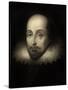 Walter Raleigh, English Courtier and Explorer-Science Source-Stretched Canvas