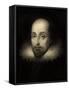 Walter Raleigh, English Courtier and Explorer-Science Source-Framed Stretched Canvas