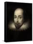 Walter Raleigh, English Courtier and Explorer-Science Source-Framed Stretched Canvas