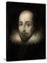 Walter Raleigh, English Courtier and Explorer-Science Source-Stretched Canvas