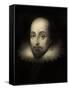 Walter Raleigh, English Courtier and Explorer-Science Source-Framed Stretched Canvas