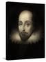 Walter Raleigh, English Courtier and Explorer-Science Source-Stretched Canvas