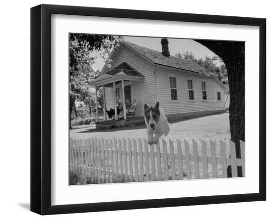 Premium Photographic Print, , large