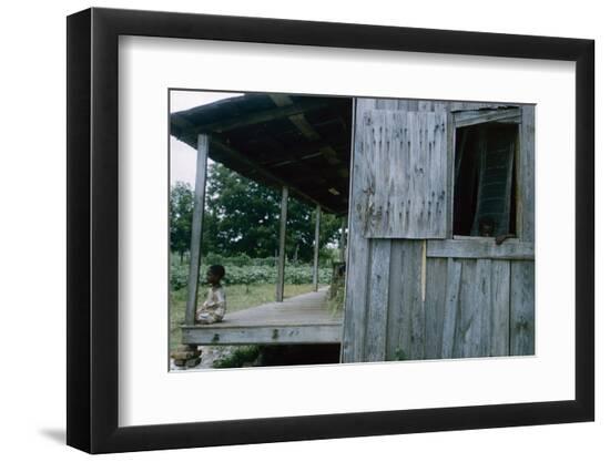 Premium Photographic Print, , large