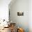 Walter Scale in the Kitchen of His Geodesic Dome House with His Children-John Dominis-Photographic Print displayed on a wall