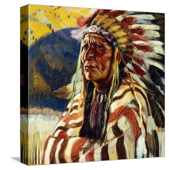 Stretched Canvas Print, , large