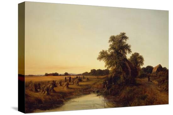 Stretched Canvas Print, , large
