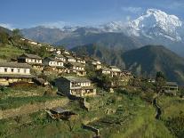 Houses and Terraced Fields at Gurung Village, Ghandrung, with Annapurna South, Himalayas, Nepal-Waltham Tony-Photographic Print
