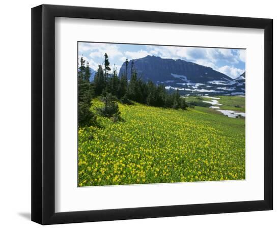 Photographic Print, , large