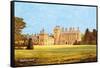 Walton Hall-null-Framed Stretched Canvas