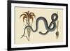 Wampum Snake-Mark Catesby-Framed Art Print