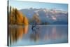 wanaka-1-Lincoln Harrison-Stretched Canvas