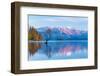 Wanaka Tree, Southern Alps and Autumn Leaves Standing on Lake Wanaka in New Zealand-pespiero-Framed Photographic Print