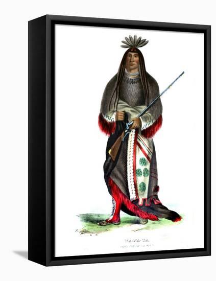 Wanata ('The Charger'), Grand Chief of the Sioux-Charles Bird King-Framed Stretched Canvas