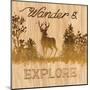 Wander and Explore-Arnie Fisk-Mounted Art Print