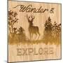 Wander and Explore-Arnie Fisk-Mounted Art Print