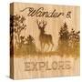 Wander and Explore-Arnie Fisk-Stretched Canvas