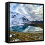 Canvas Black