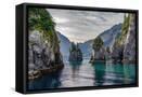 Canvas Black