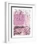 Wanderer I Pink-Piper Rhue-Framed Art Print