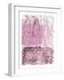 Wanderer I Pink-Piper Rhue-Framed Art Print