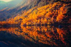 Scenery of High Mountain with Lake and High Peak on A Clear Day-wanderer3-Laminated Photographic Print