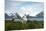 Wandering Albatross at Nesting Site on Albatross Island-Darrell Gulin-Mounted Premium Photographic Print