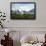 Wandering Albatross at Nesting Site on Albatross Island-Darrell Gulin-Framed Photographic Print displayed on a wall